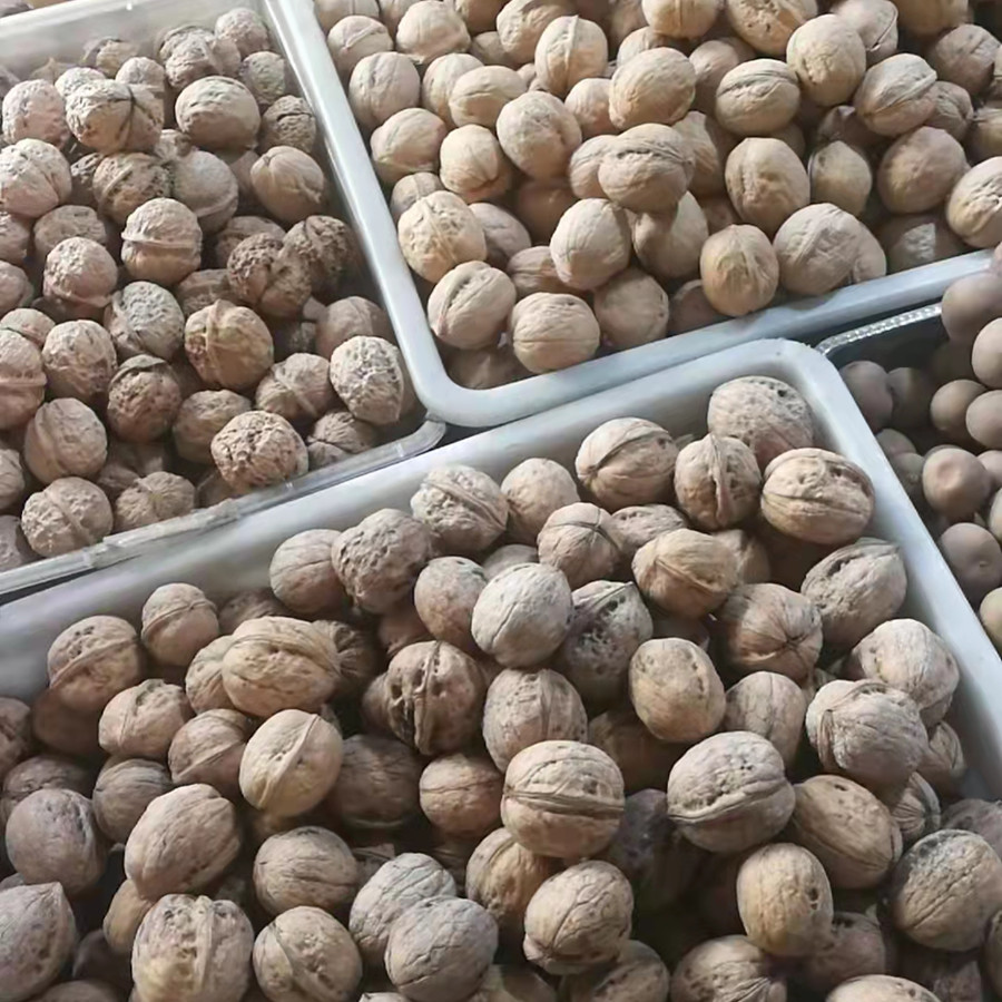 NEW PRODUCTS IS COMING(图5)