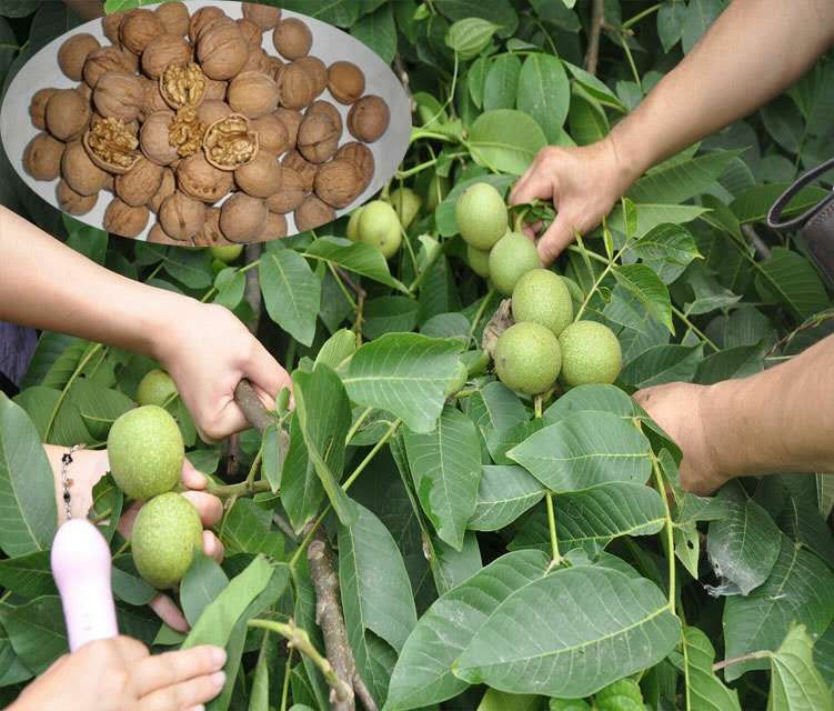 NEW PRODUCTS IS COMING(图3)