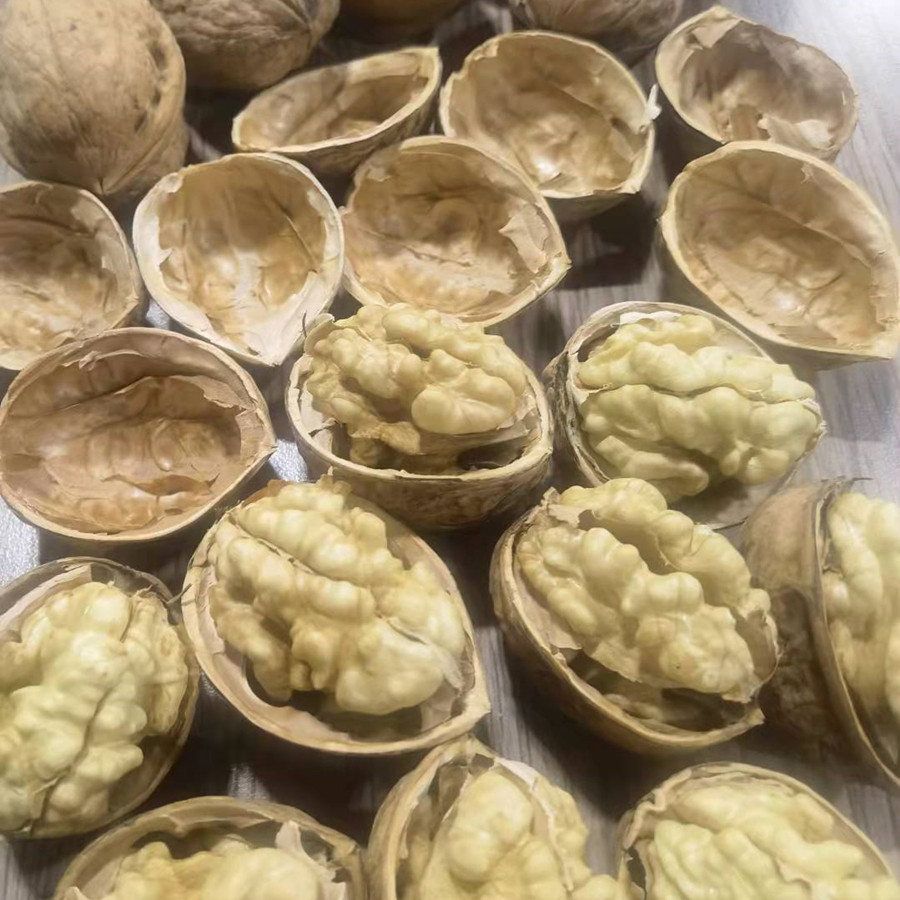 NEW PRODUCTS IS COMING(图6)